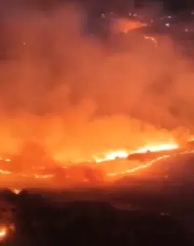 Adıyaman’daki Orman Yangını!