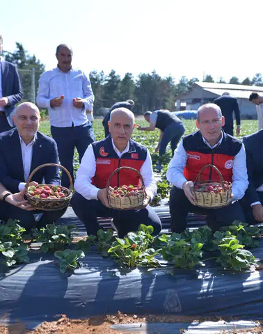 Türkoğlu'nda Çilek Üretimine Güç Veren Proje Yerinde İncelendi
