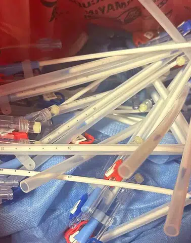 KSÜ'deki Sterilizasyon İddialarında Yeni Gelişme: "Tarihi Geçmiş Ürünlere Yeni Barkod Basıldı"