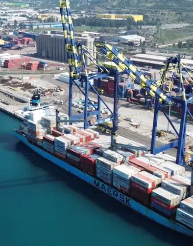 Dış ticaret sermaye şirketi statüsüne 4 yeni firma