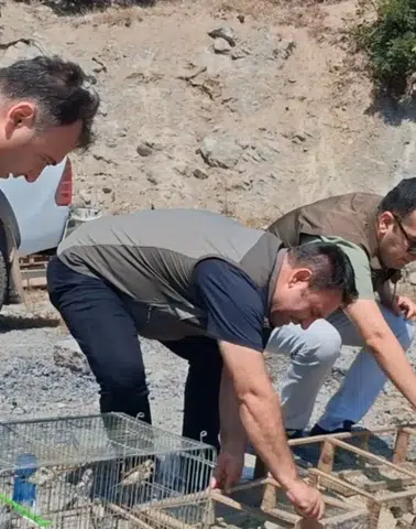 Kahramanmaraş’ta 175 Saka Kuşu Kurtarıldı