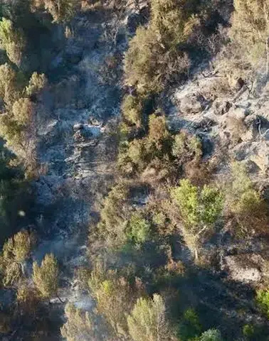 Biri İtfaiye Eri, 19 Kişi Dumandan Etkilendi: Malatya'da Korkutan Yangın