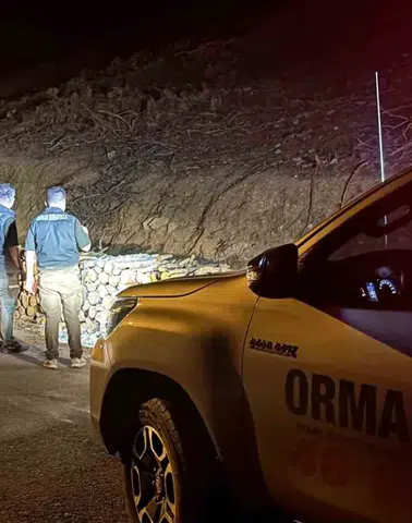Kahramanmaraş Ormanları 7/24 Koruma Altında