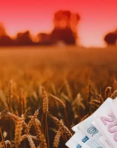 TMO'dan üreticiye 4,5 milyar TL'lik ödeme