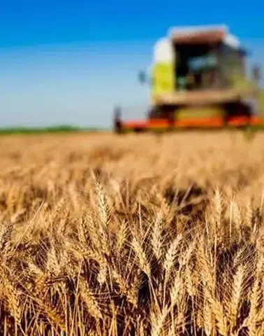 Kırsala 12,5 milyar liralık dev hibe desteği
