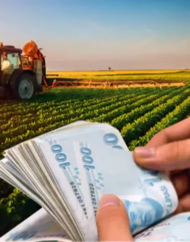 1,3 milyar TL'lik tarımsal destek ödemeleri hesaplarda