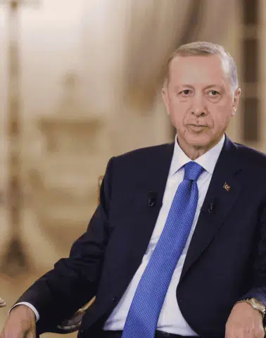 Erdoğan’dan BM Güvenlik Konseyi için veto çağrısı