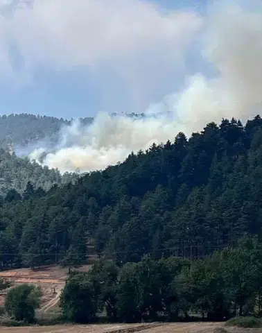 Kahramanmaraş’taki Orman Yangını Kontrol Altına Alındı