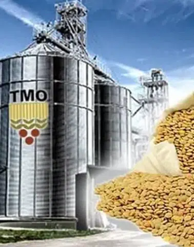 TMO'dan üreticilere 6,3 milyar liralık ödeme