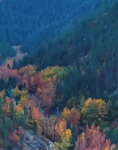 Andırın’da sonbahar Ormanlarda renklerin buluşması