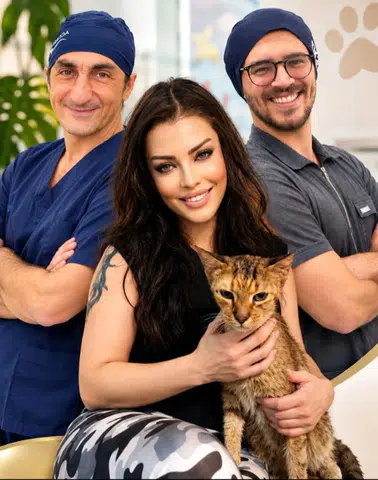 Serap Acar, Yaralı Kedi Nazlı İçin Uzmanlarla Harekete Geçti