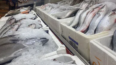Depremler sonrası balık pazarı yeniden canlandı!