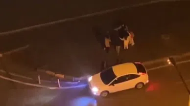 Sağanak yağmur altında halay çektiler