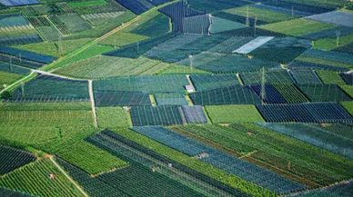 Kahramanmaraş’ta tarım arazisi mahkemeden satışa çıkartıldı