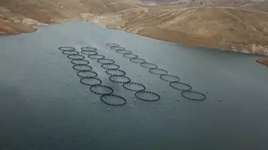 Kahramanmaraş’taki Kandil Barajı’nda alabalık üretimi başladı