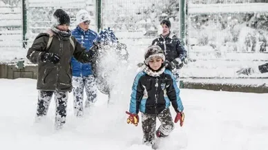 Ardahan'da okullar tatil mi 26 Aralık 2023? Hangi ilçelerde okullar tatil