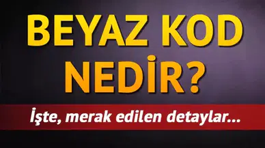 BeyazKod1111 nedir? Beyaz Kod nedir? Kimler tarafından Nasıl kullanılır?