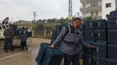 Hataylı zeytin üreticisine sandık dağıtımı
