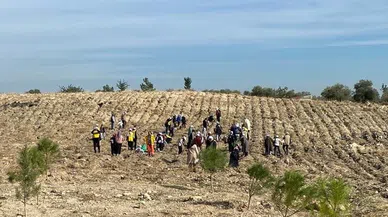Depremzede çocuklar fidan dikti