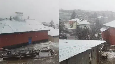 Kahramanmaraş’taki Berit Dağı etekleri kara teslim