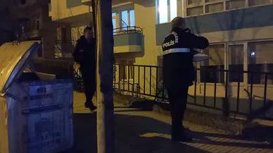 Ağabey ve kardeşin kavgası kanlı bitti