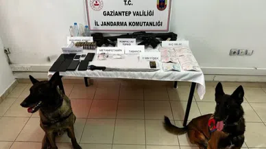 Çobanlar Çetesi operasyonu: 6 gözaltı