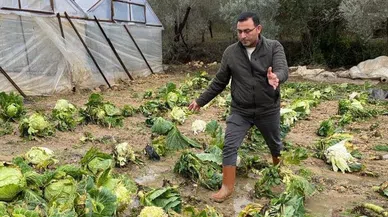 Sağanak yağış seralara hasar verdi