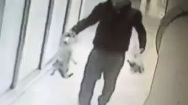 Kedi katili tutuklandı