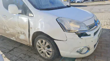 Domuz sürüsüne çarptı, kazayı ucuz atlattı