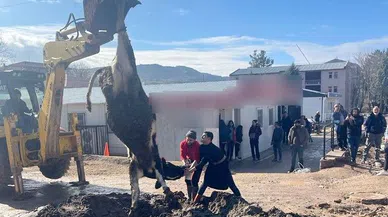 Banka müdürünün tayini çıktı diye tosun kestiler