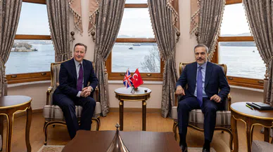 Hakan Fidan, İngiliz mevkidaşı David Cameron ile görüştü