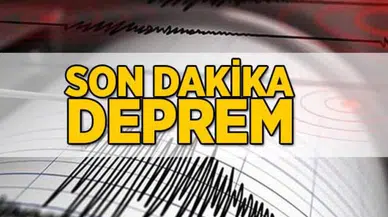İzmir Aliağa'da Korkutan Deprem: Ege Sallandı, Halk Tedirgin