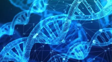 Amcadan DNA testi yapılır mı?