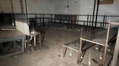 Horoz dövüşüne 235 bin TL para cezası