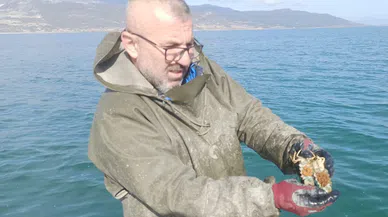 Eğirdir'de Kaçak Avcılıkla Mücadele Devam Ediyor