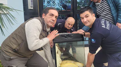 Antalya'da Apartmandan Piton Çıktı