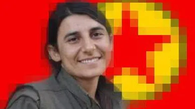 MİT’ten, PKK/KCK’nın sözde gençlik yapılanması sorumlusuna operasyon
