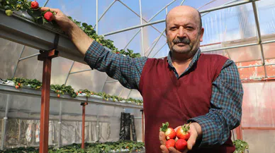 Depremzede çiftçiden büyük başarı