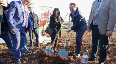 Siirt Fıstığı Mersin’de projesi