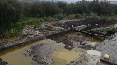 Depodan sızan tonlarca zeytinyağı araziye yayıldı