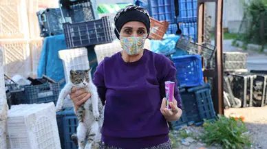 Kanser hastası kadın hayata hayvanlarla tutunuyor