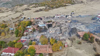 Köyde çıkan yangın 47 evi küle döndürdü