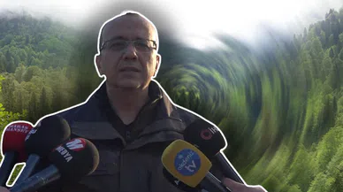 2024 yılında 1 milyondan fazla fidan dikilecek