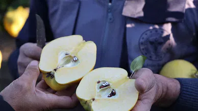 Rusya'nın ayvası Kahramanmaraş'tan