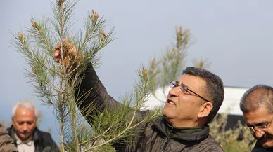 Yangın Sonrası Ağaçlandırma Çalışmaları