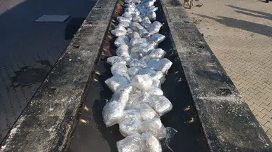 Jandarma ekiplerinin yaptığı çalışmada 138 kilo skunk ele geçirildi