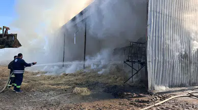 Gündüz saatlerinde çıkıp kontrol altına alınan yangın tekrar nüksetti