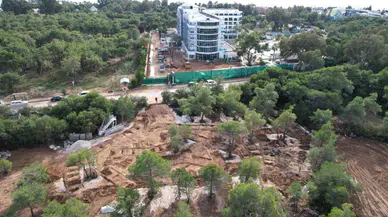 Çam ağaçlarını kesip yerine egzotik ağaçlar diken 5 yıldızlı otel için suç duyurusu