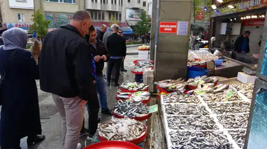 Hamsi sezonu sürüyor, palamut sezonu ise bitti