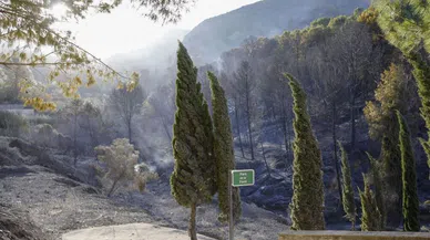 İspanya'da orman yangını: Bin 400 hektarlık alan kül oldu